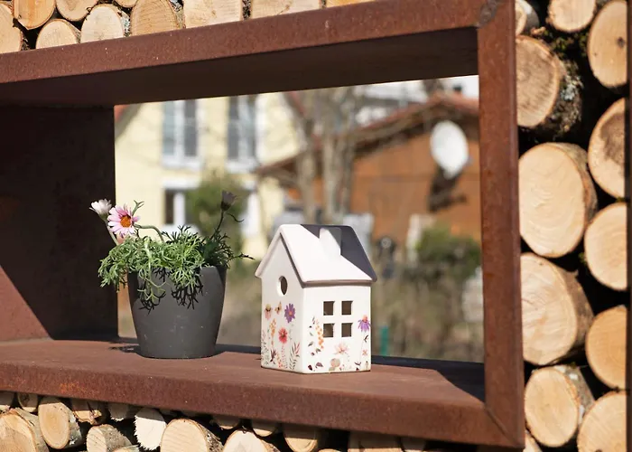 Bachblick 公寓 Buchenbach (Breisgau-Hochschwarzwald)