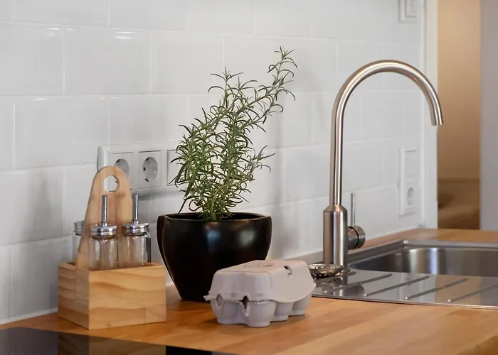 公寓 Bachblick Buchenbach (Breisgau-Hochschwarzwald)